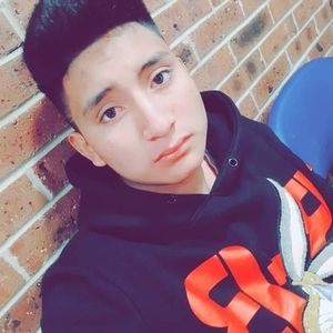 Meet your Posher, Ivan